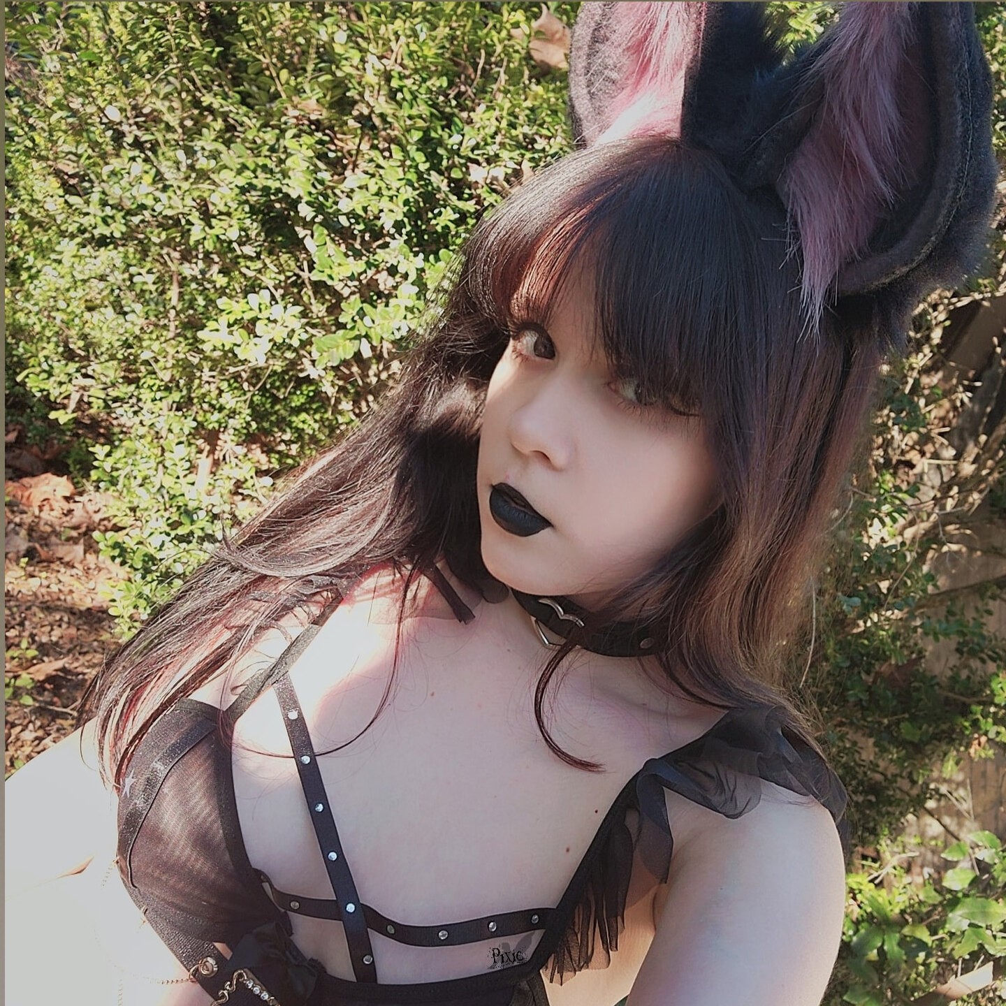 Pixie ♡