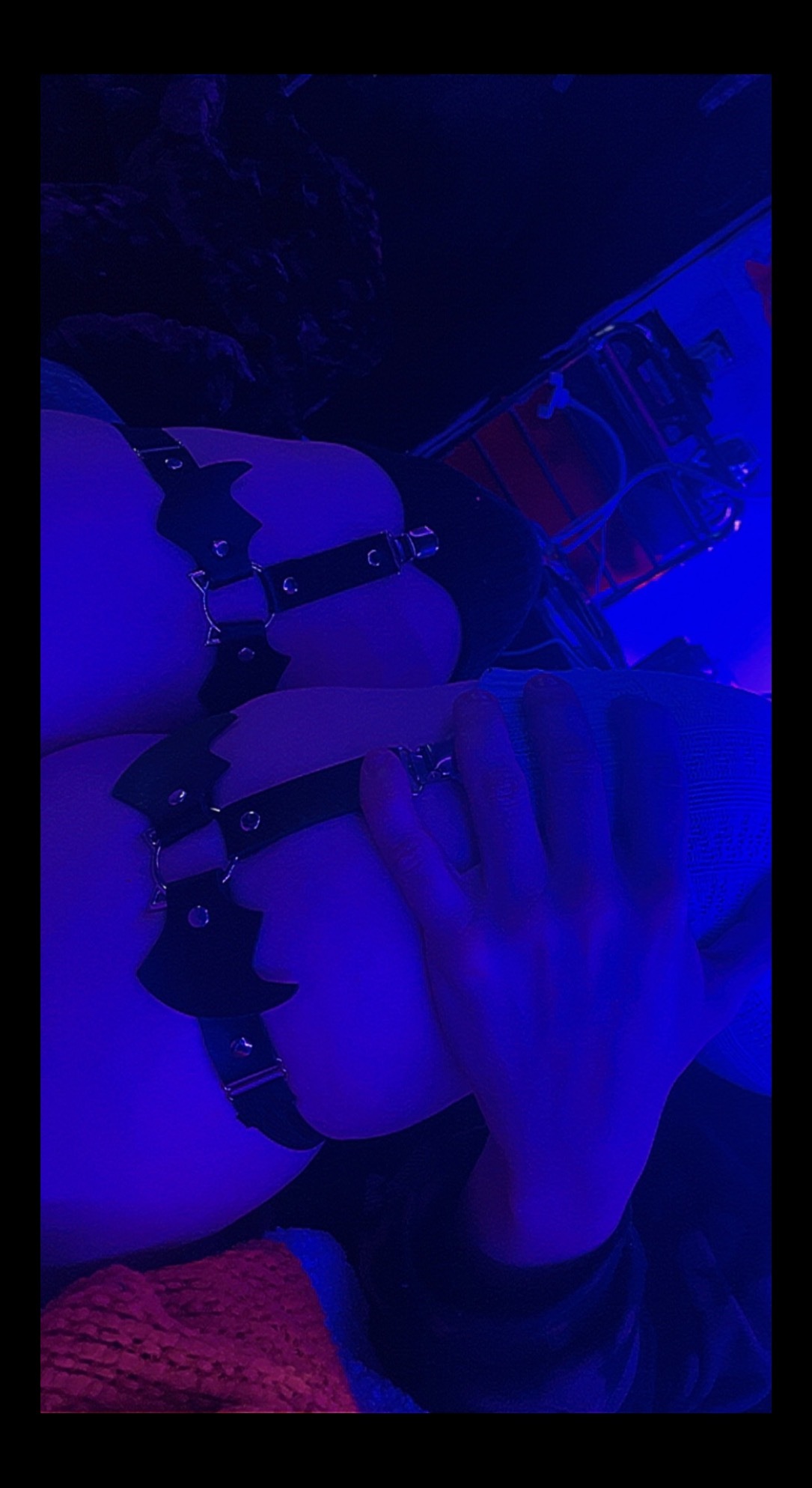 ⋆⁺₊ viixens ✧