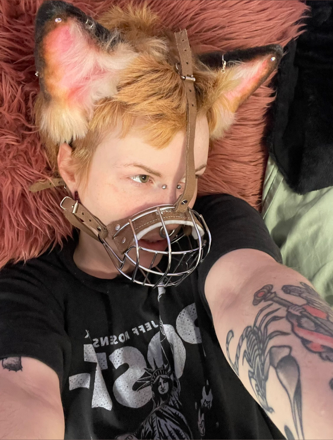 fox