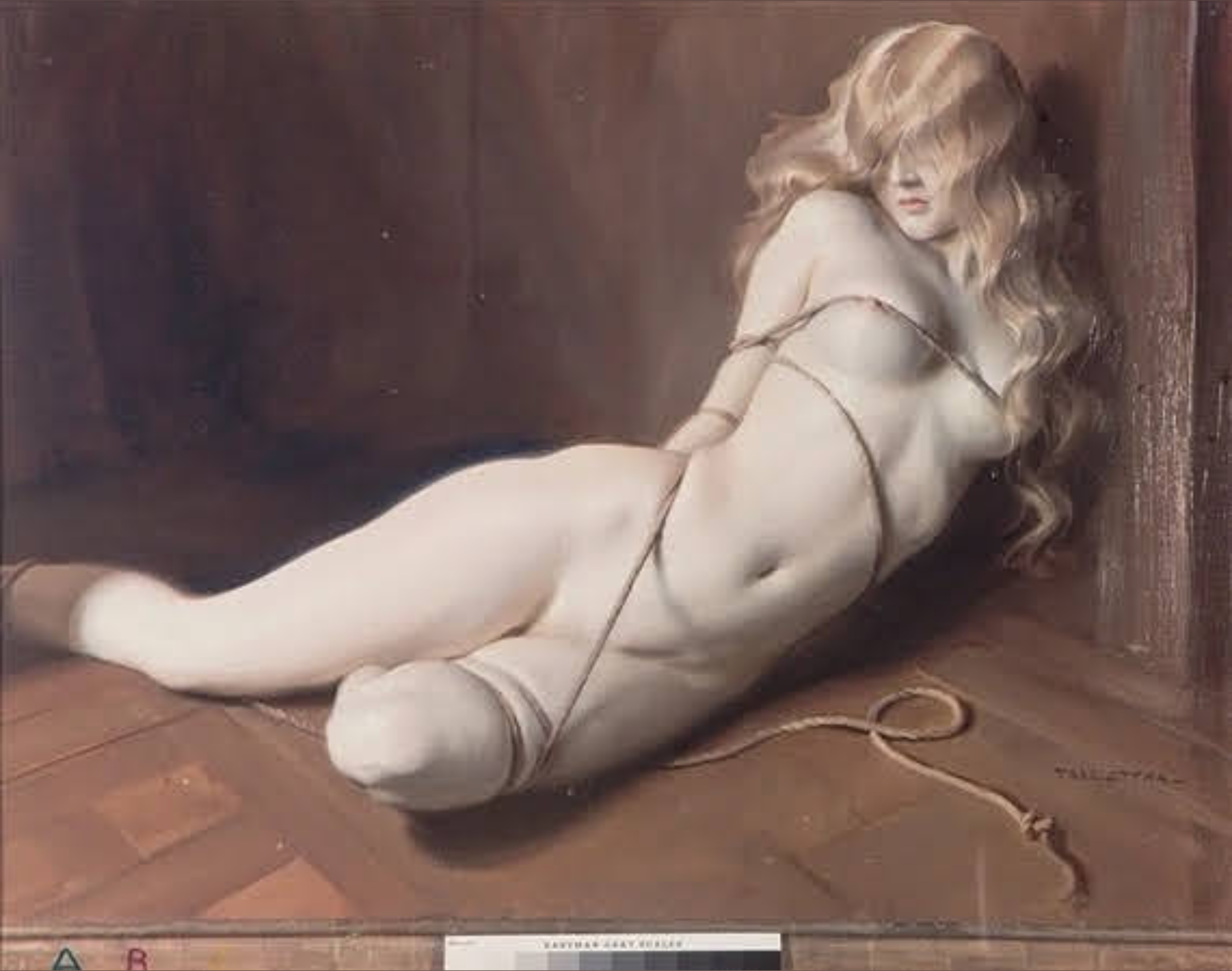 essentialshibari