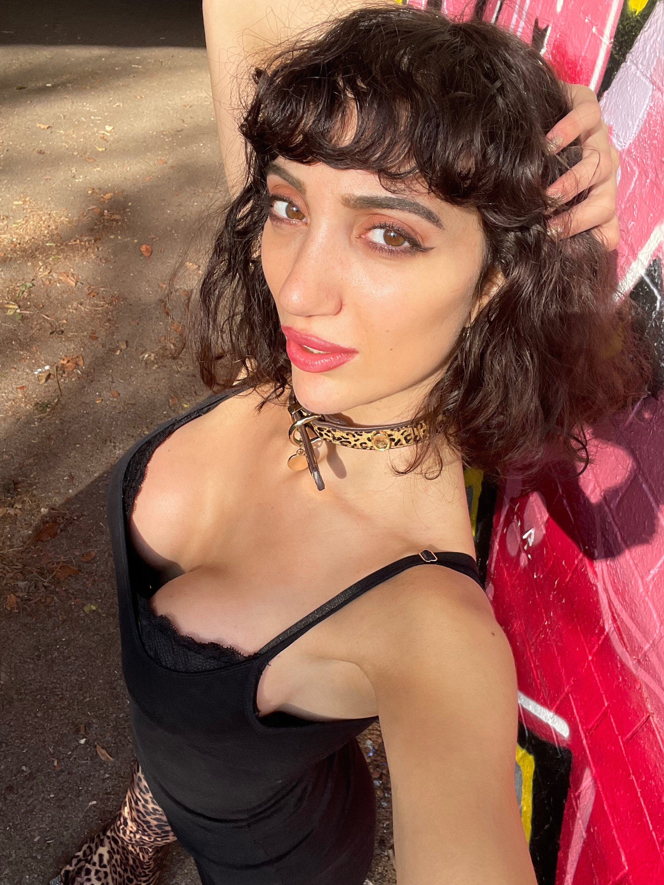 Greek Spice 🌶