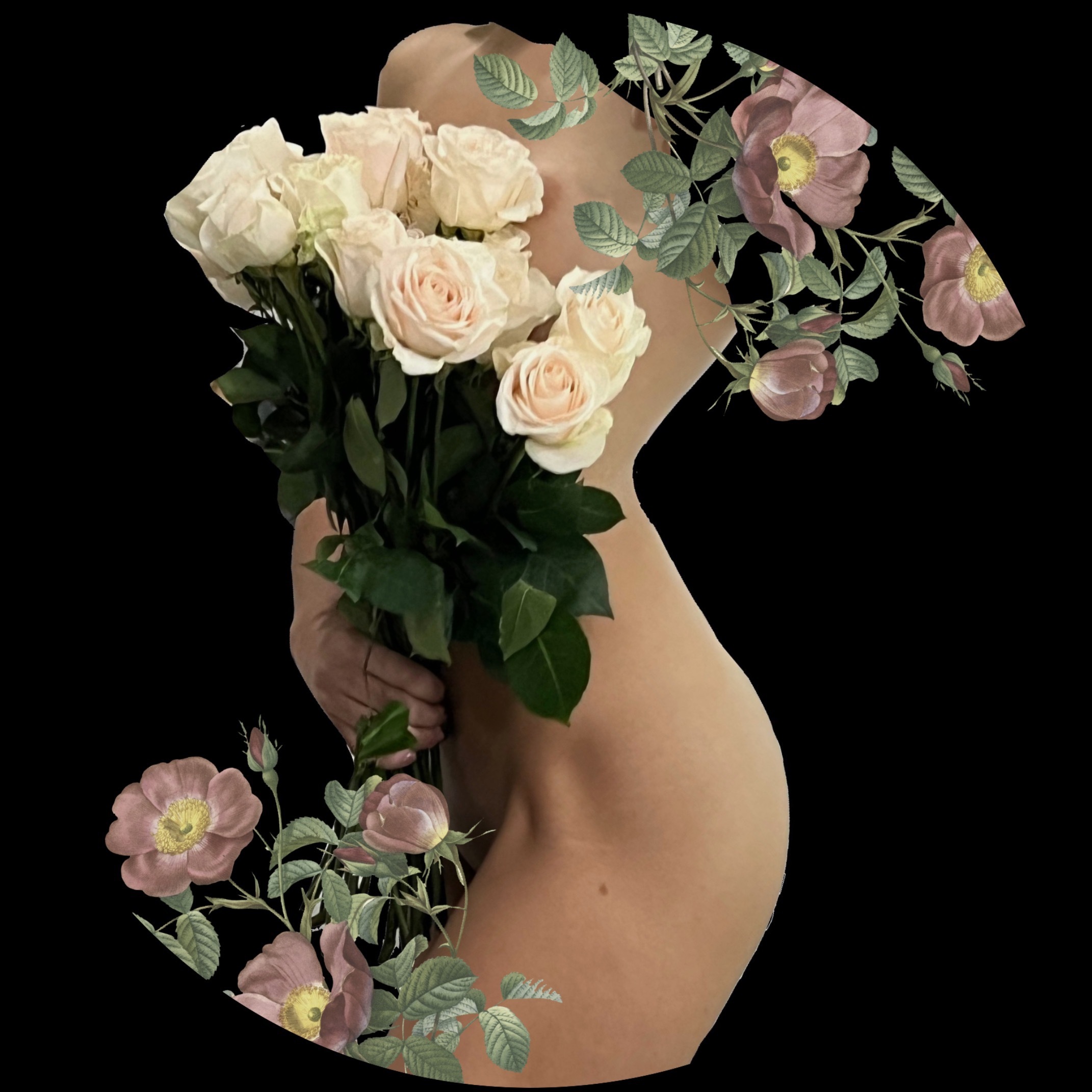 Headlessbeauty