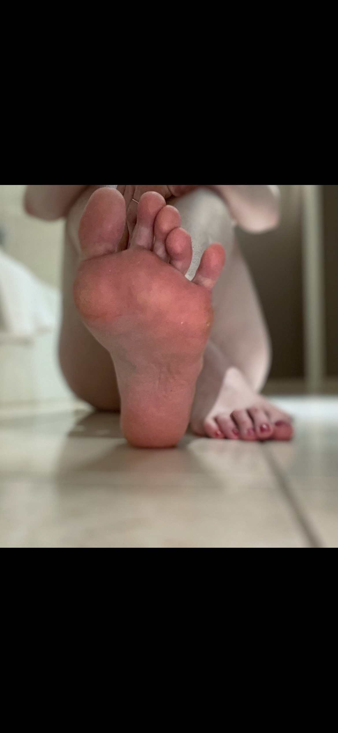 Theselilpiggies