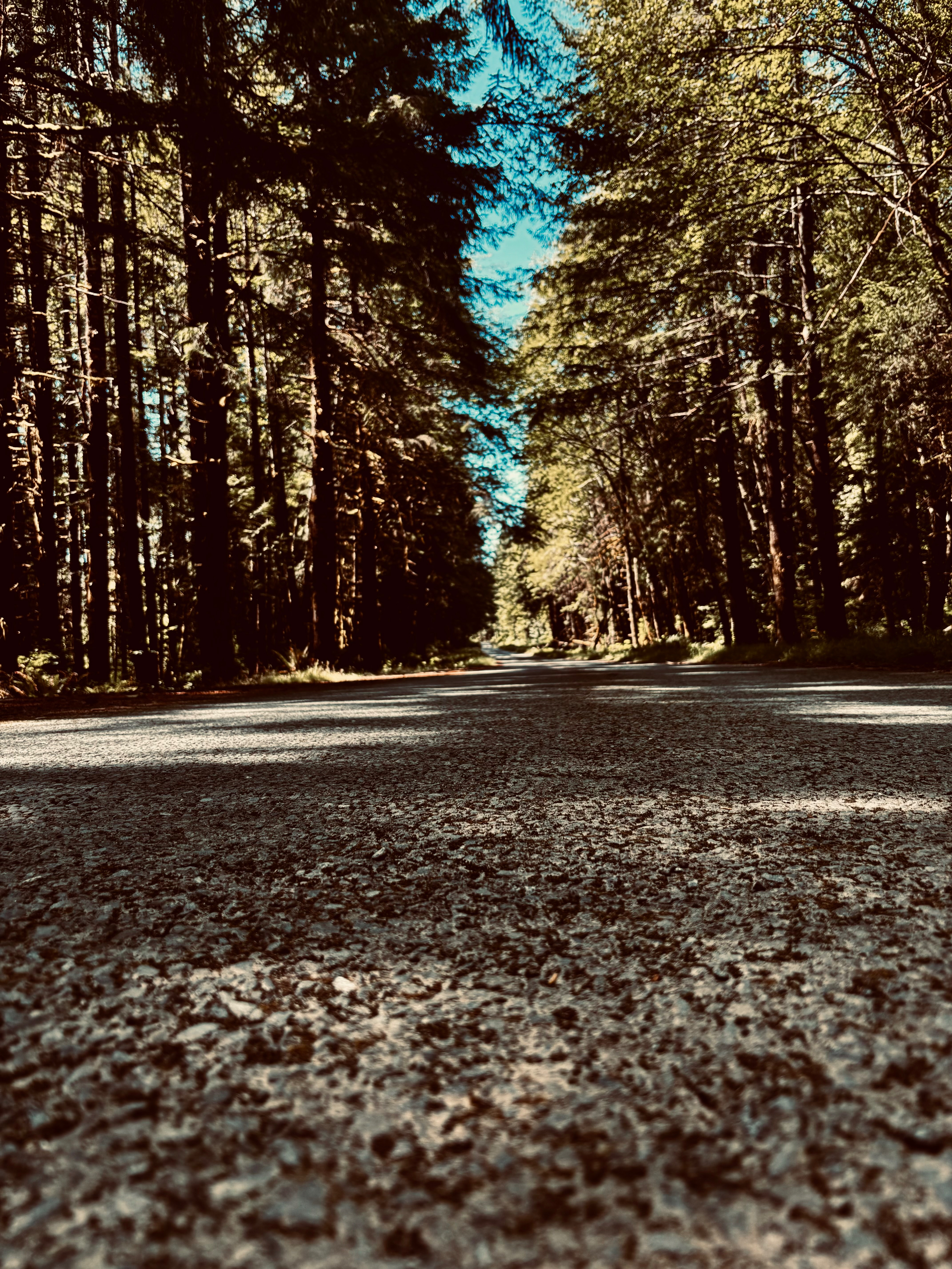 Straight Up Photography